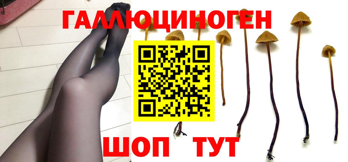 Галлюциногенные грибы Cubensis  цены наркотик  Сочи  Вход с VPN 